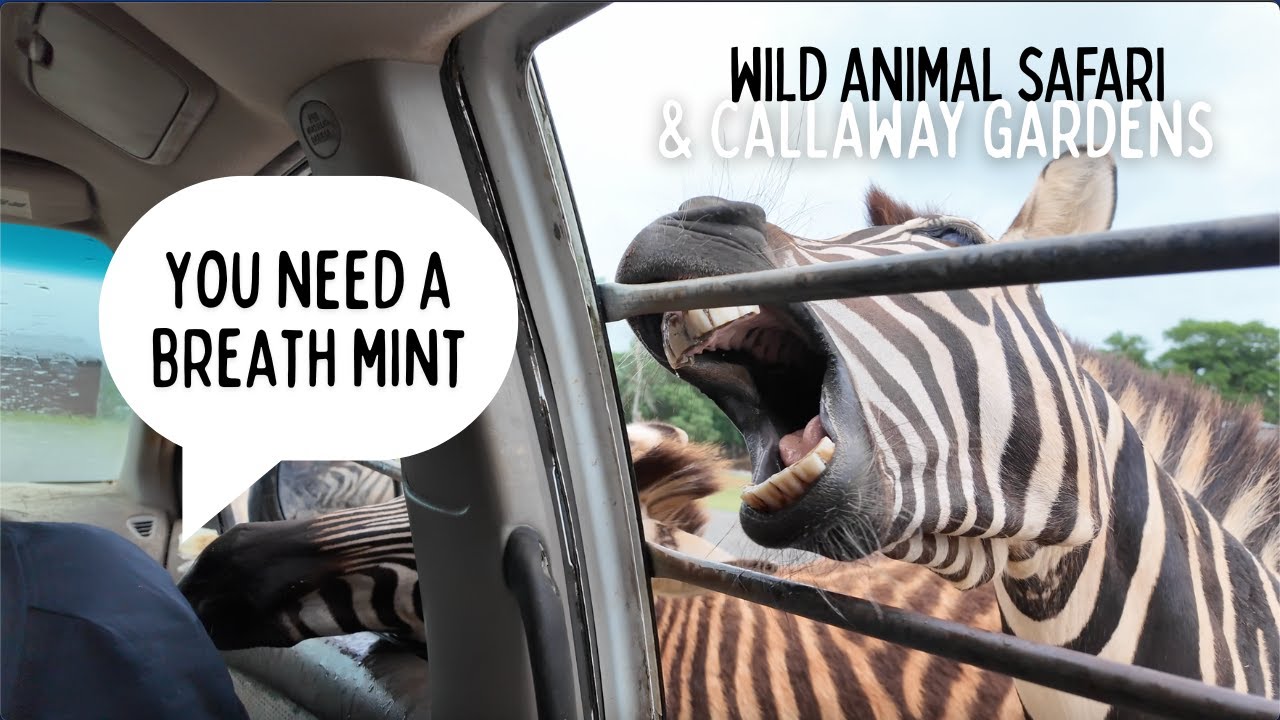 Pine Mountain RV Resort | Wild Animal Safari and Callaway Gardens