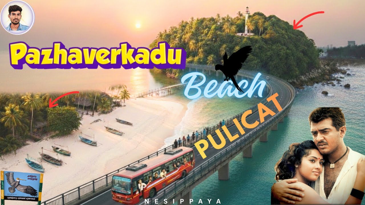 என்னடா beach இது💩 இப்படி வச்சுருக்கிங்க🤦‍♂️| pazhaverkadu beach | pulicat | shooting spot | citizen