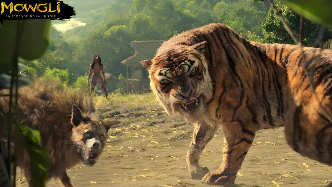 طفل تربى في الغابة وسط الذئاب وإنتقم من قاتل عائلته، قصة ماوكلي♥️|| ملخص🎦Mowgli Legend Of The Jungle