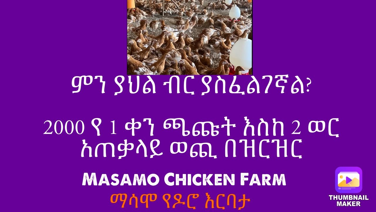 ምን ያህል ካፒታል ያስፈልገኛል?