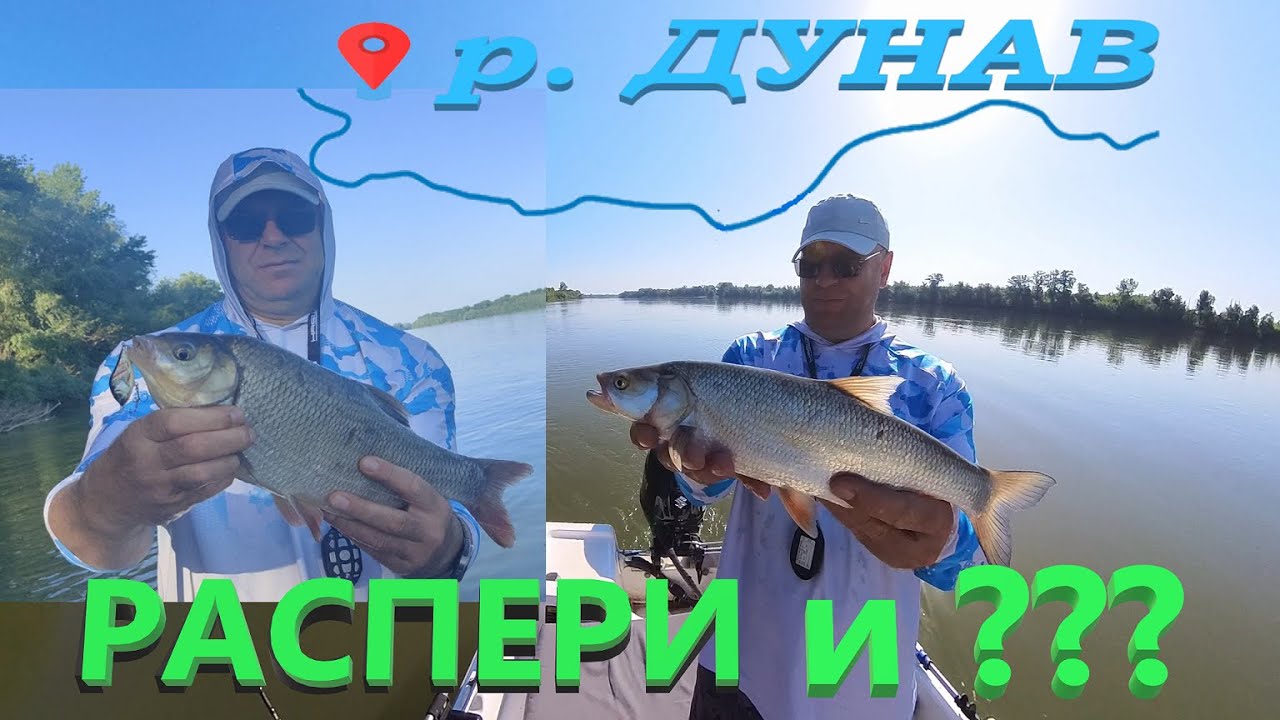 РАСПЕРИ и една от НАЙ-РЕДКИТЕ риби в р.Дунав!!! Дунавските распери ! Asp fishing Dunabe River !