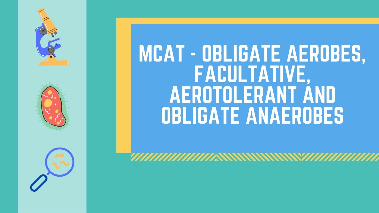 Obligate Aerobes, Obligate Anaerobes, Facultative Anaerobes and Aerotolerant Anaerobes