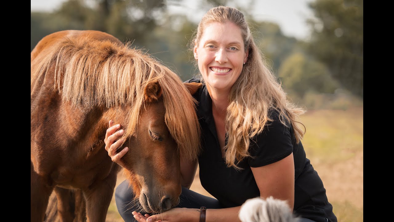 Anika´s Pferdeakademie stellt sich vor