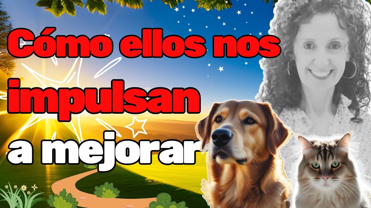 🐶🐱Perros y Gatos: Guardianes de tu corazón