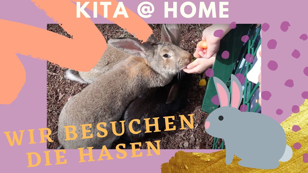 Wir begrüßen den Frühling auf unserer Hofkita - Kita @ home