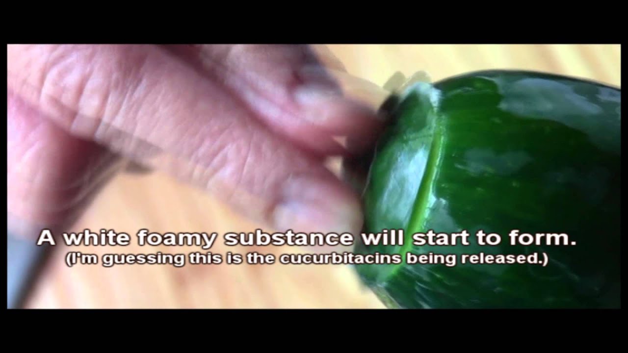 How to Remove Bitterness From Cucumber (cucurbitacins)