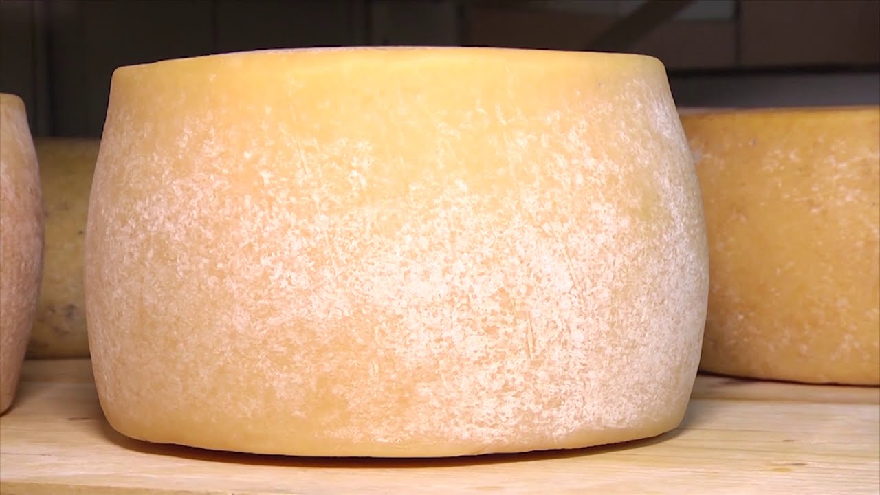 Izdelava sira na domu - Cheese making