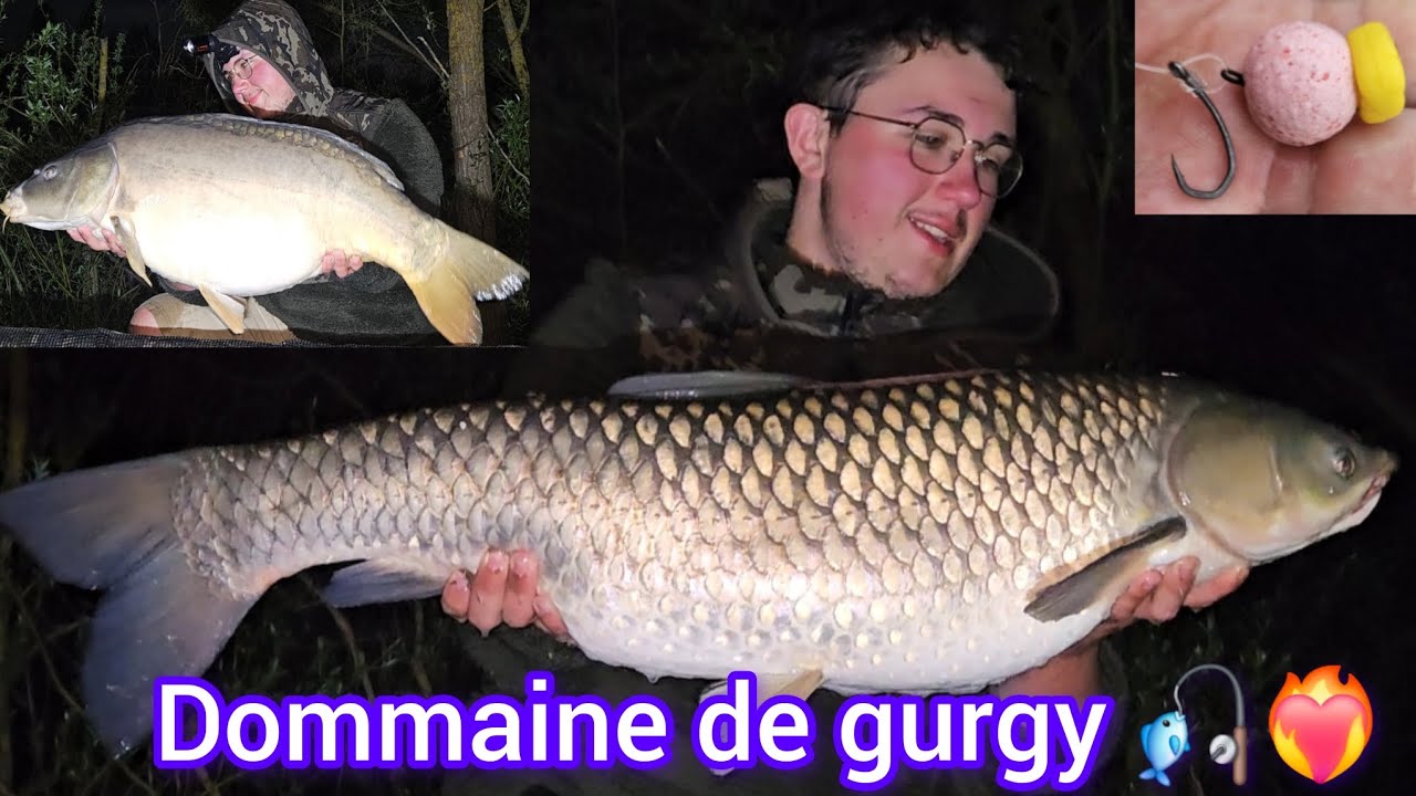 Les amours blanc sont au rendez-vous! (Domaine de gurgy).