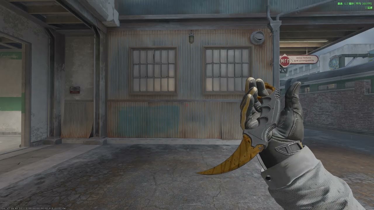 CS2 | Knife Glove Combos:★ Karambit | Tiger Tooth(FN)+★Sport Gloves | OMEGA(FT)