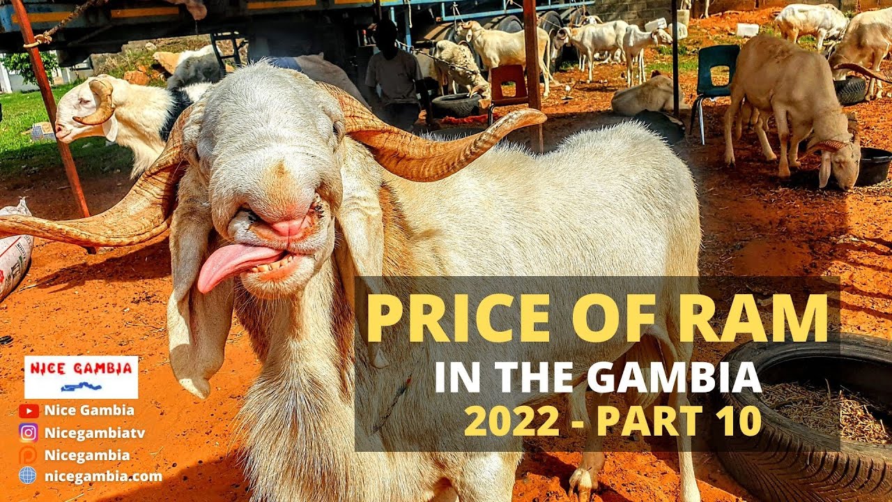 Price of RAM in Africa The Gambia Part 10