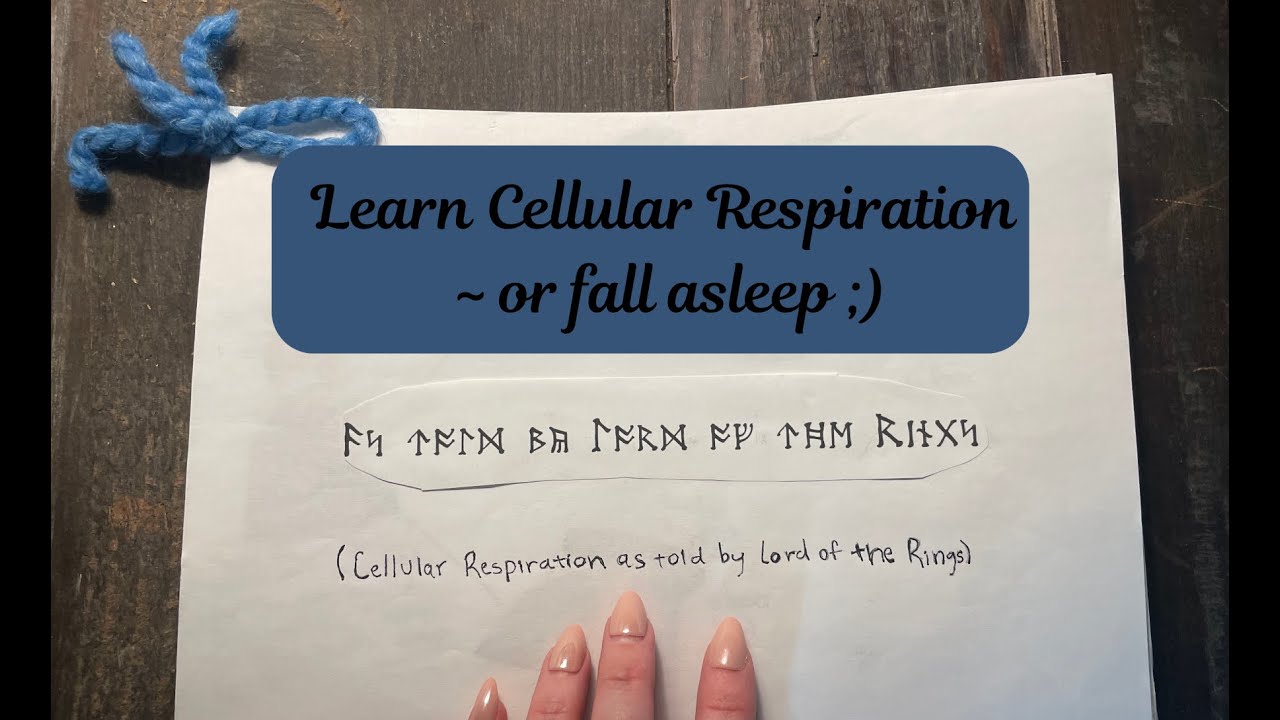 ASMR ✨ Cellular Respiration as told by Lord of the Rings 🤯 listen and learn (or just fall asleep 🤪) 