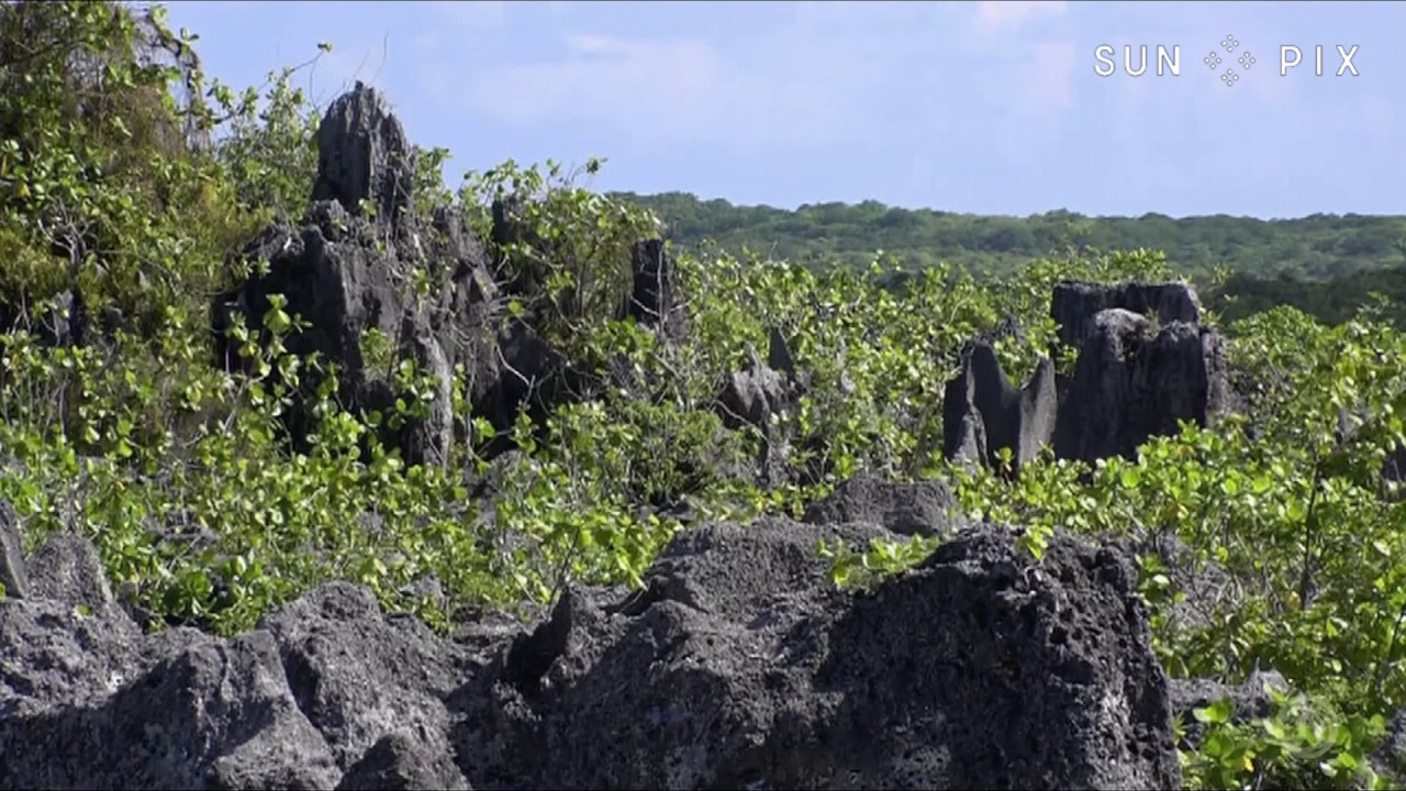 TAGATA PASIFIKA: Makatea Island Phosphate Mining
