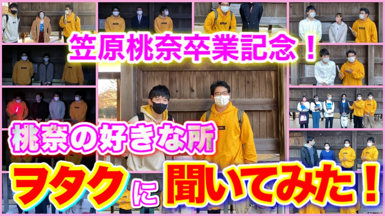 【卒業記念】卒コン当日に武道館で“笠原桃奈の凄さ”をハロヲタたちにインタビュー！！！