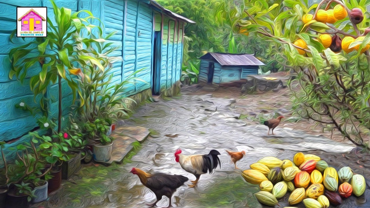 PARA RELAJARSE CON EL CAMPO Y LA LLUVIA