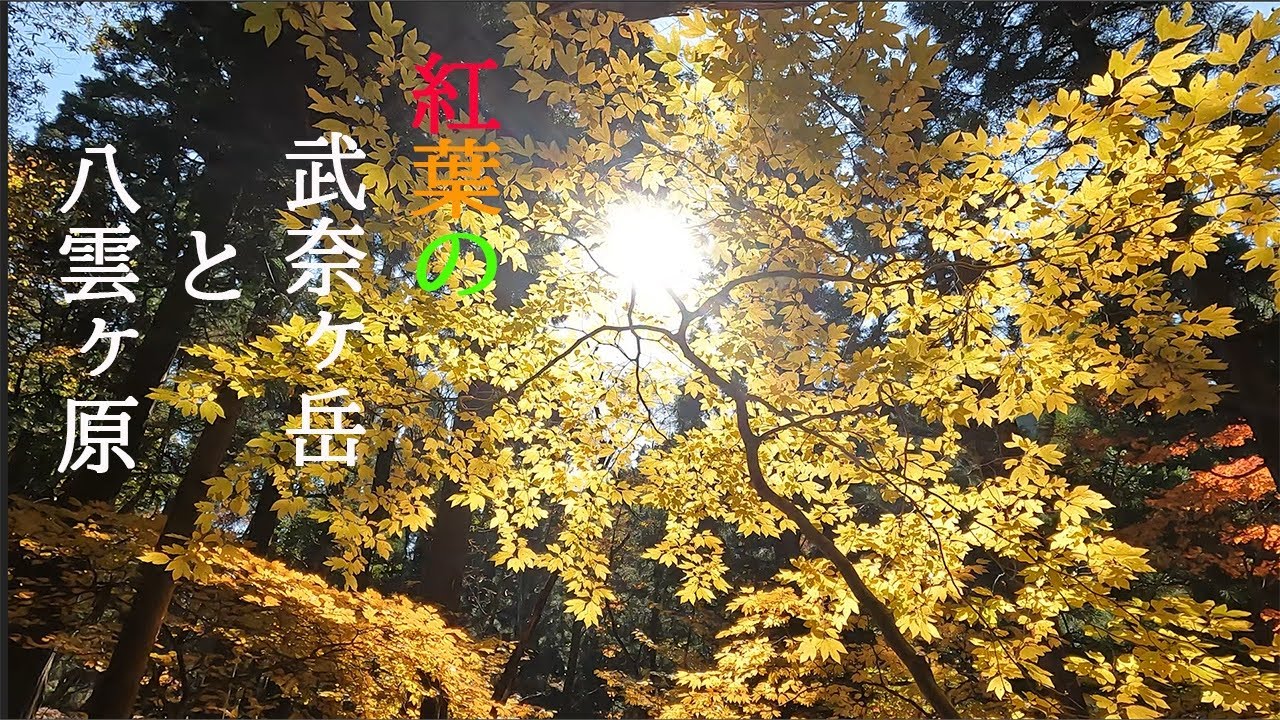 紅葉の武奈ヶ岳と八雲ヶ原　【４K】【登山】