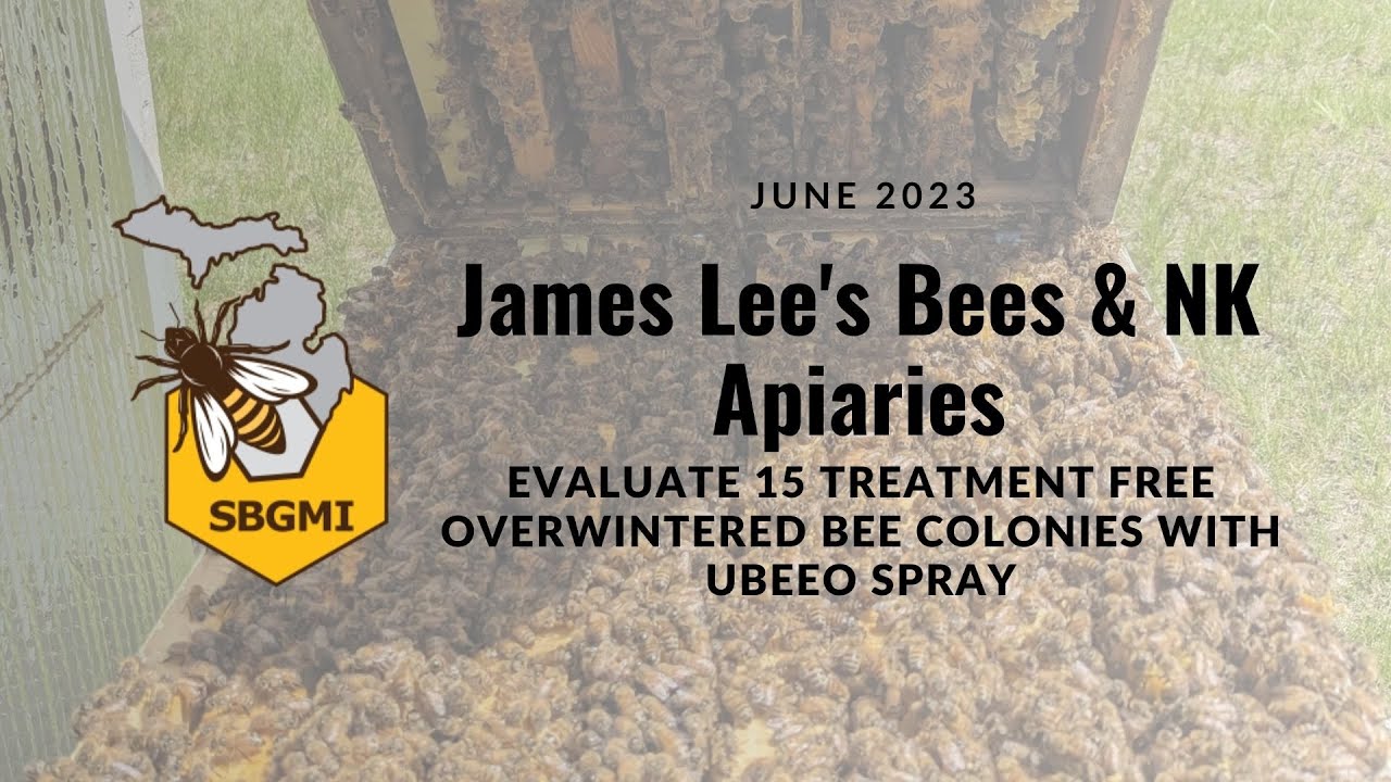 SBGMI Tests UBeeO Spray in Overwintered Apiaries | Testing 15 Survivors in 3 Yards In 2 Hours