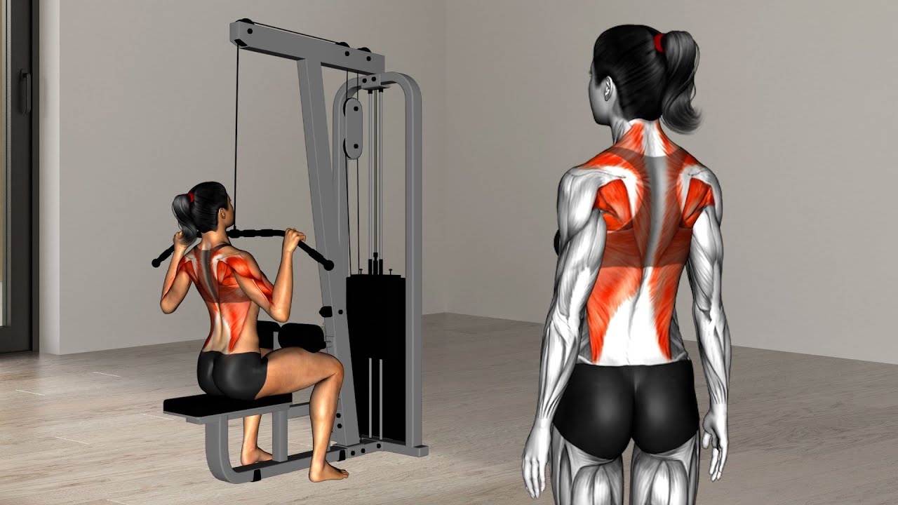 Rutina de Influences para Tren superior en el GYM: Espalda, Hombros y Bíceps