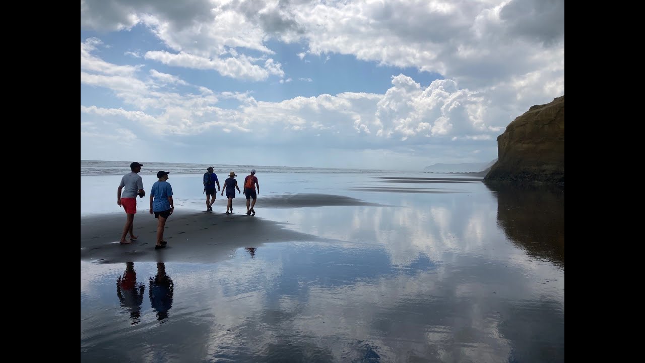 Walk from Hamilton's Gap to Orua Bay