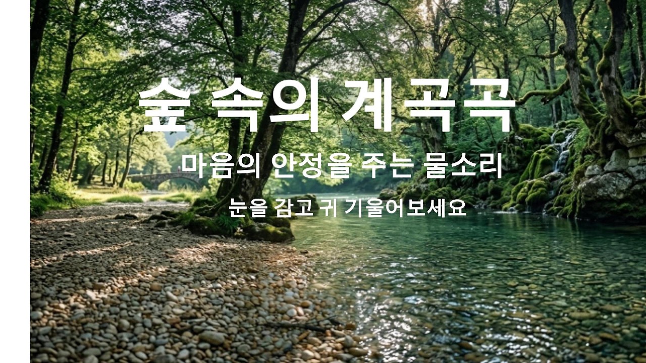3분 만에 잠드는 숲 속 물소리 🌙 깊은 수면을 위한 자연 힐링 1시간