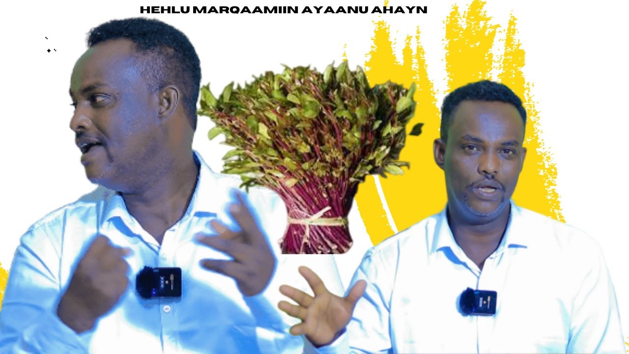 Waxaanu ahayn ehelu marqaamiin dhalinyaraa......ABWAAN GURAY DOOL