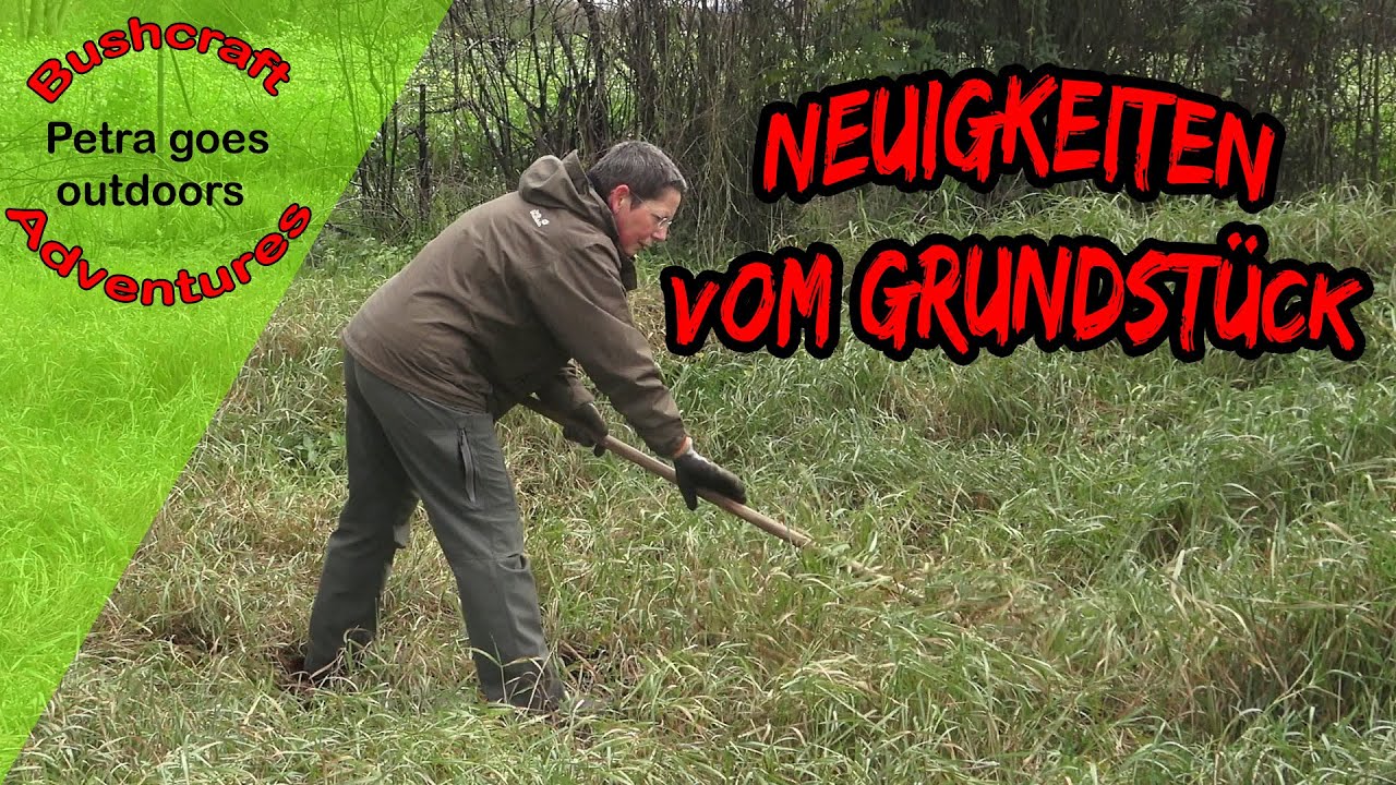 Neuigkeiten vom Grundstück