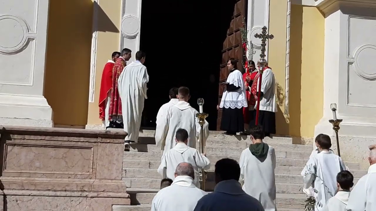 Soave domenica Palme 2024