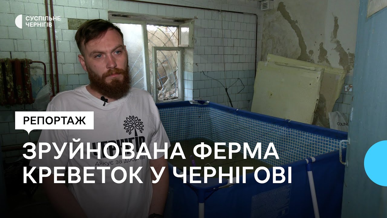 Їли одна одну, щоб вижити: як пережила бойові дії креветочна ферма в Чернігові