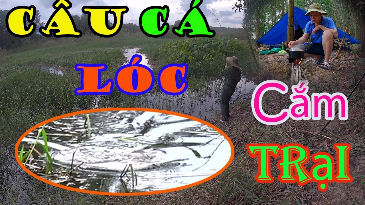 Câu cá lóc cắm trại trong rừng tập 2