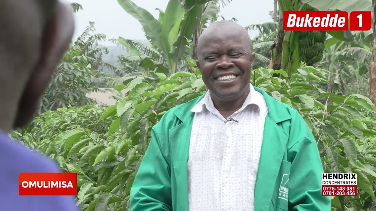 Omulimisa:  Okulunda kugatteko okulima  Emmwaanyi zirimiremu Ebitooke  Onyumirwe obulamu.