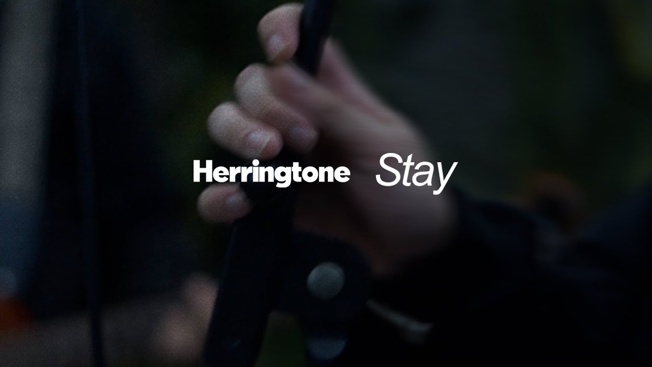Herringtone - Stay (Official Music Video)