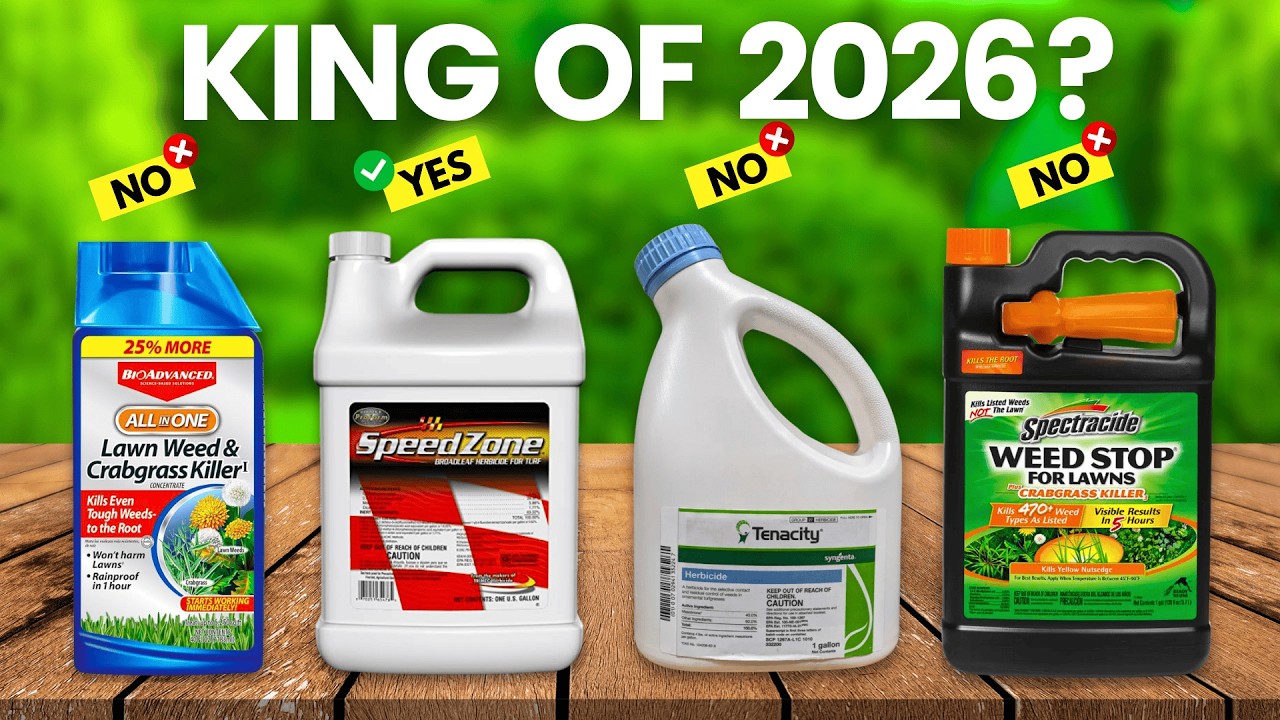 6 Best Weed Killer For Lawn 2026