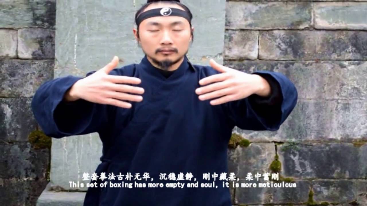 Wu Dang Gong Fu 9【explain】 Wu Dang Mi Chuan Tai Ji Quan 武当秘传太极拳（解说片） Xu Wei Han 许微含
