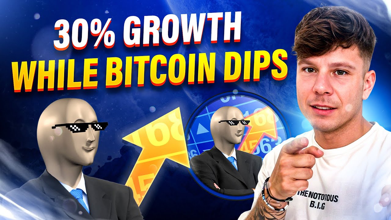 Stonks Token: Still Riding the Meme Wave?