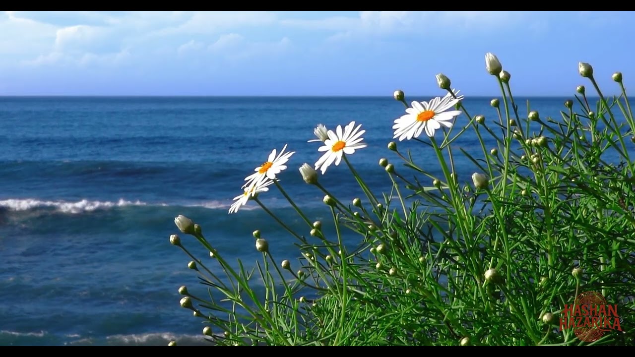 Inner Calm — Deep Bamboo Flute Meditation | Earth Ambient Soundscape