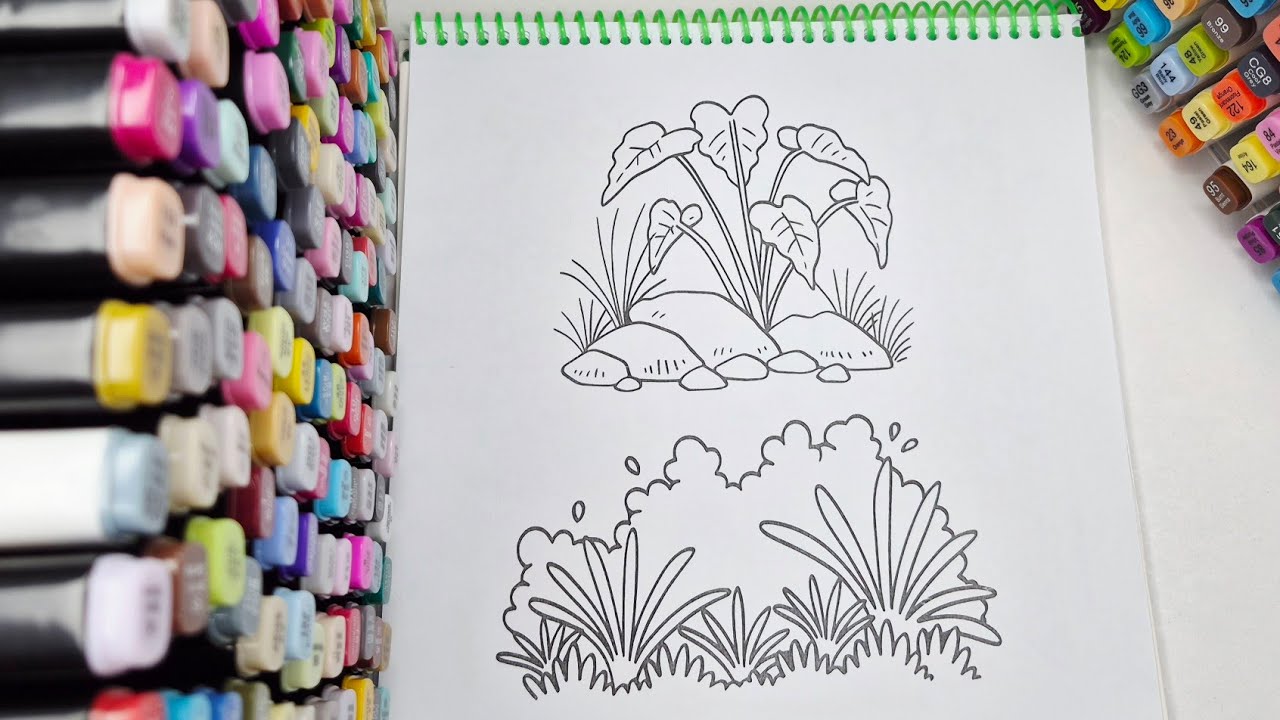 “Soft Cozy Coloring ASMR 🌿 Relaxing Marker Sounds for All Ages | QAMAR”