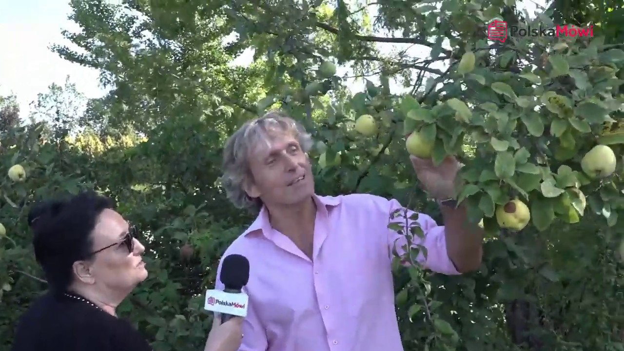 Pigwa i Pigwowiec - dr Artur Zagajewski