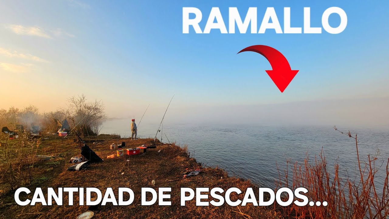 CANTIDAD!!! DE PESCADOS EN ESTE LUGAR... 