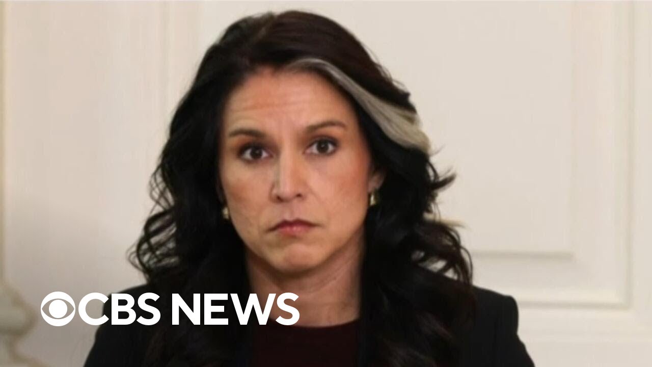 Whistleblower's lawyer says Tulsi Gabbard has stalled review of complaint for months