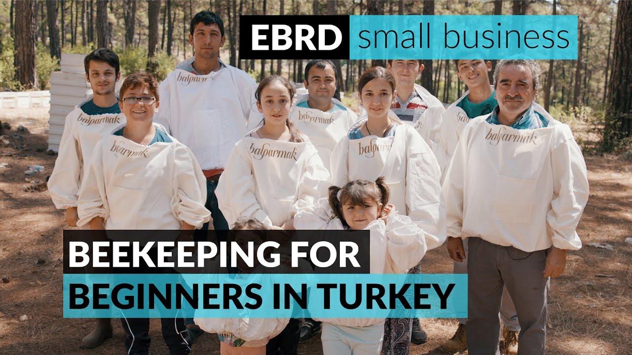 Beekeeping for beginners in Turkey
