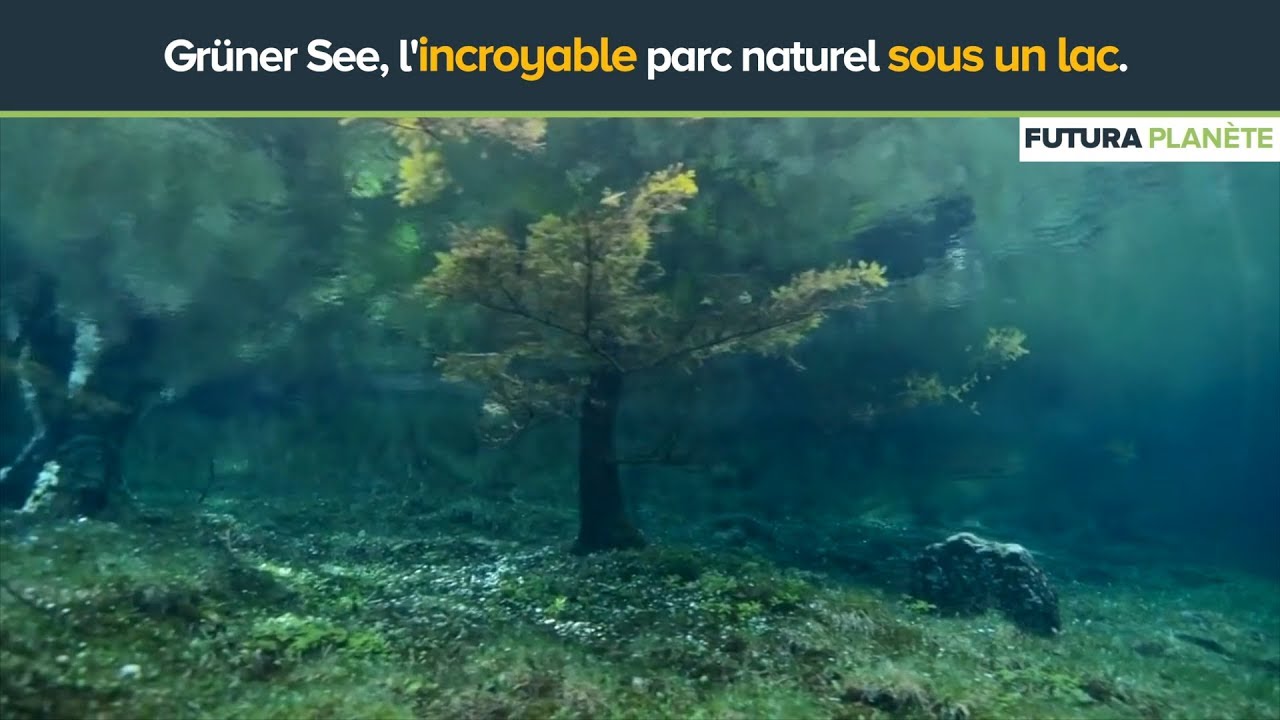 Gr&uuml;ner See, l'incroyable spectacle du lac vert en Autriche