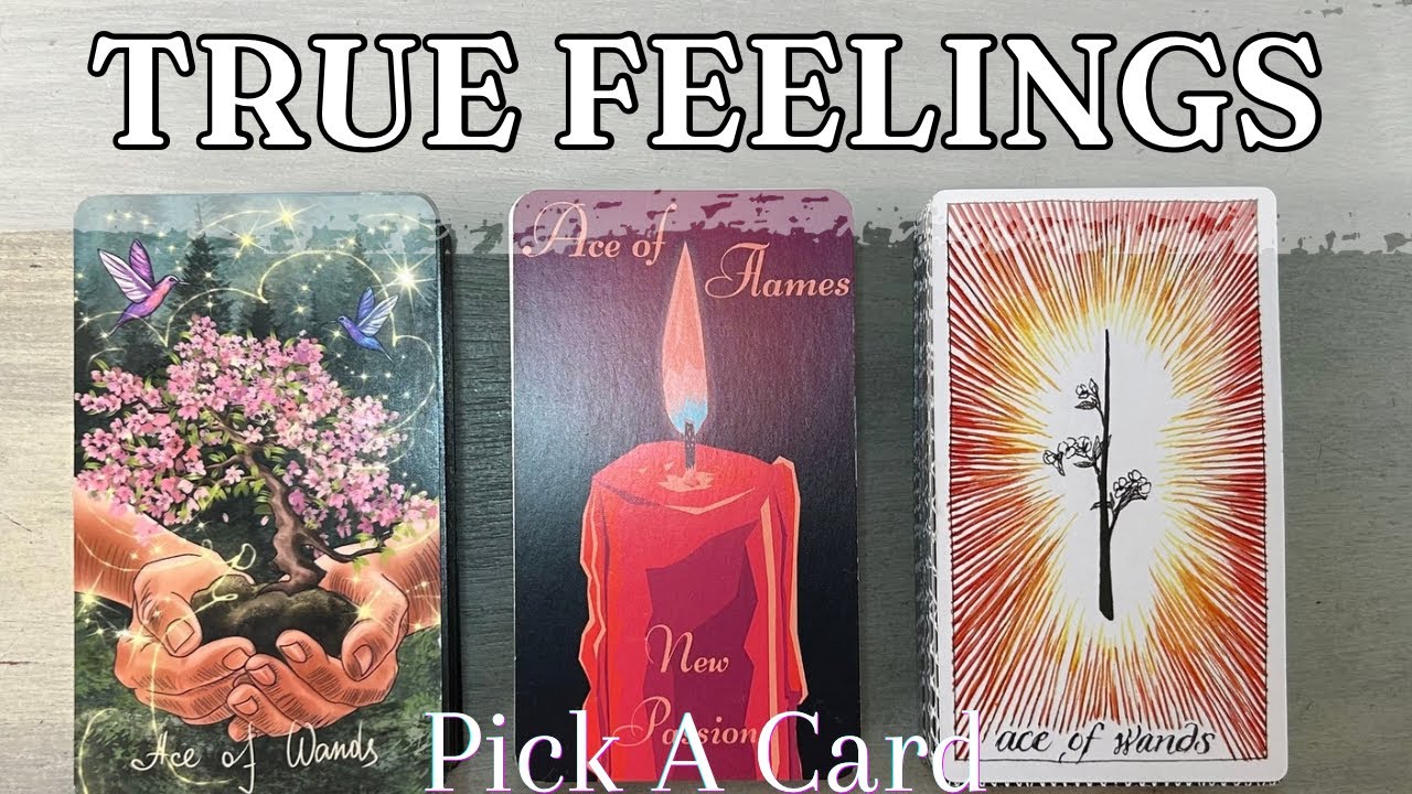 Their TRUE FEELINGS for YOU!! DETAILED Pick A Card Love Tarot Relatioship Reading  * Timeless