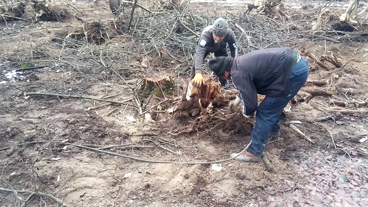 Érmihályfalvi törzsgyök húzo csörlő