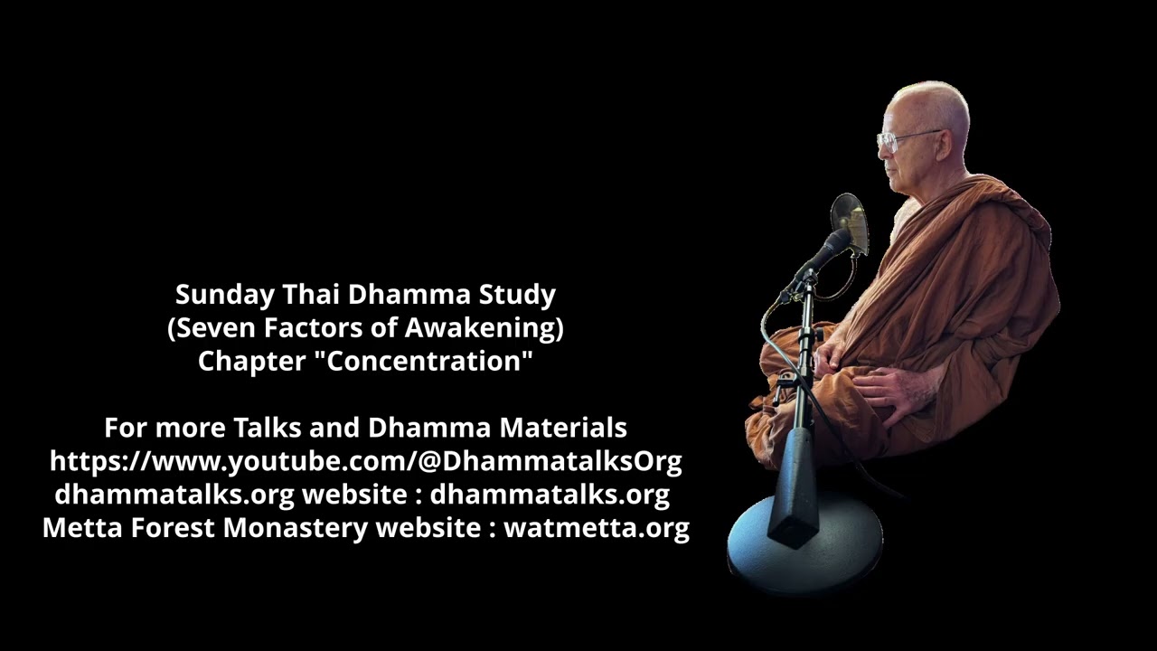 2025 08 17 Sunday Wat Metta Forest Monastery Dhamma Talks