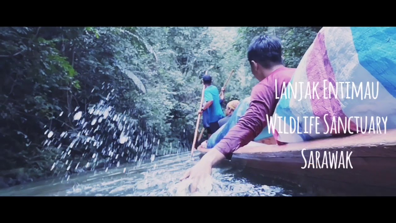 Lanjak Entimau Wildlife Sanctuary