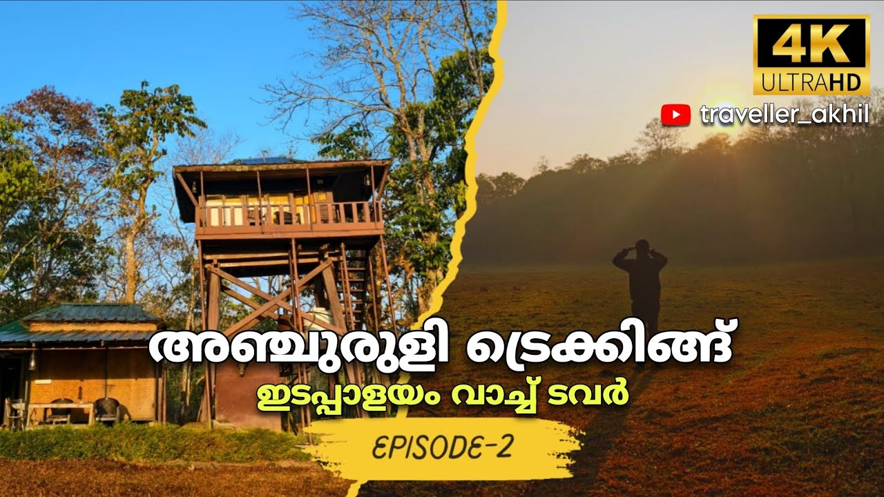 കുറച്ച് ധൈര്യം വേണം ഇവിടെ ട്രെക്ക് ചെയ്യാൻ | periyar tiger reserve | തേക്കടി 