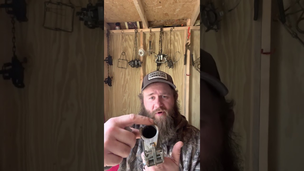 How to use a dog proof 