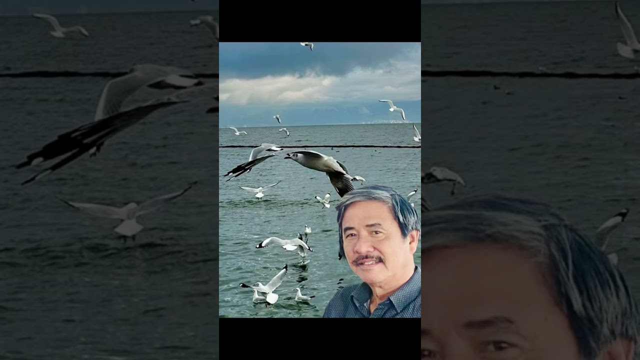 ngày 13 tháng 2, 2026