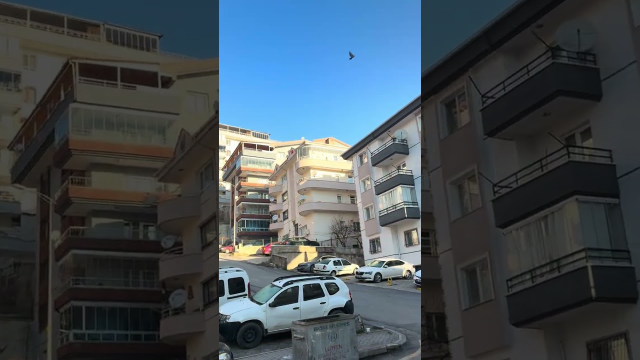 Gezmek yürüyüş doğa sabah