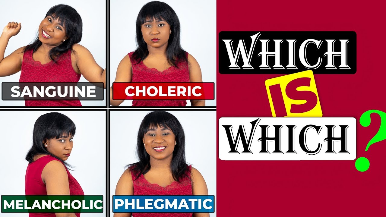 The 4 Temperaments: A Guide to Understanding Personality Types