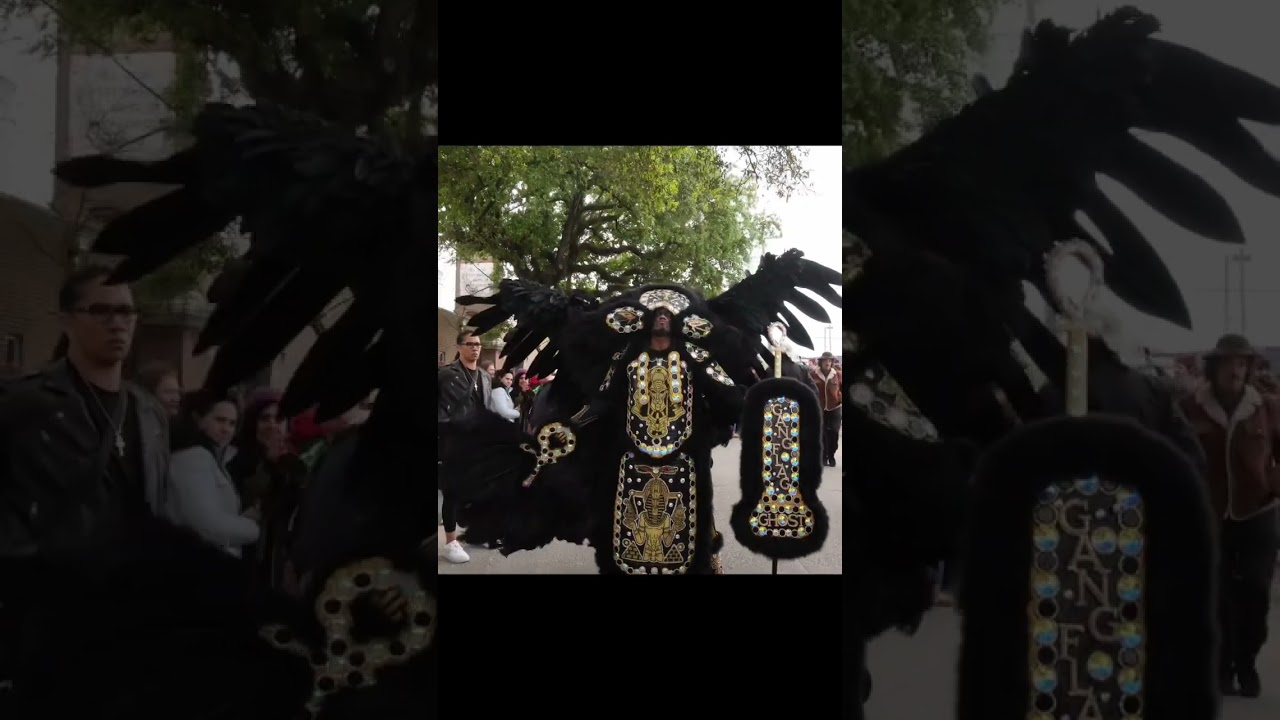 Super Sunday 2023 In New Orleans. The Uptown Mardi Gras Indians. They ALWAYS show up and show out!